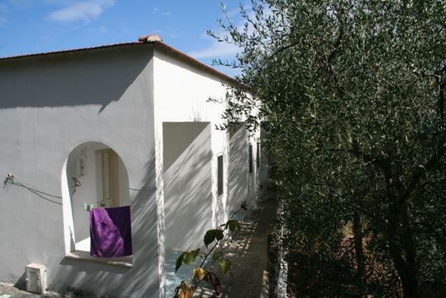 Casa Vacanze Pizzone Apartment Peschici Exterior photo